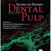 Seltzer And Bender'S Dental Pulp - Second Edition