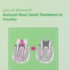 Rational Root Canal Treatment In Practice 2nd Edition