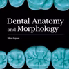 Dental Anatomy and Morphology