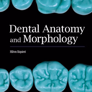 Dental Anatomy and Morphology