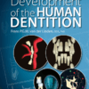 Development Of The Human Dentition