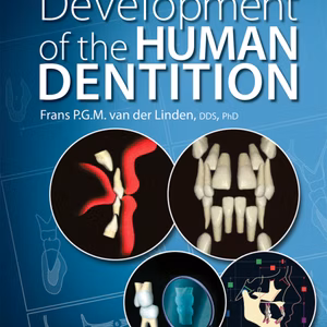 Development Of The Human Dentition