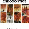 Endodontic Surgery