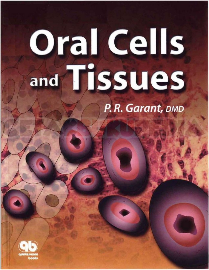 Oral Cells And Tissues