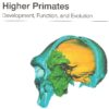 Paranasal Sinuses Of Higher Primates
