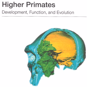 Paranasal Sinuses Of Higher Primates