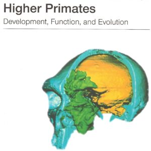 Paranasal Sinuses Of Higher Primates