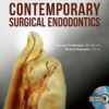 The Art And Science Of Contemporary Surgical Endodontics